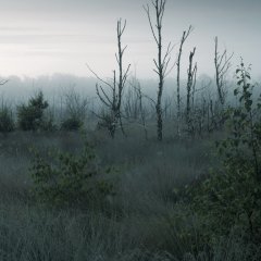 Bergwerksee im Nebel
