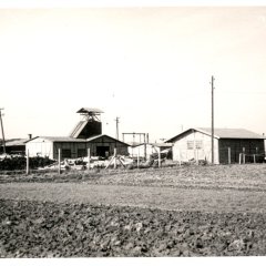 Tiefbaugrube Weckesheim Südwest