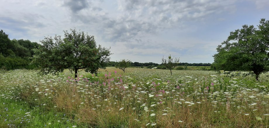 Impressionen vom Bergwerksee