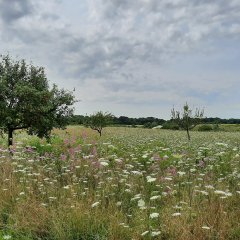 Impressionen vom Bergwerksee