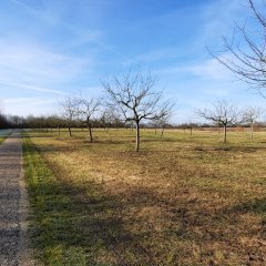 Impressionen vom Bergwerksee
