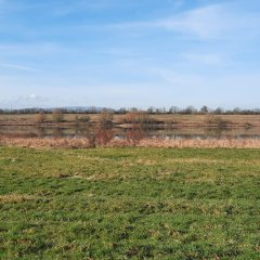 Impressionen vom Bergwerksee