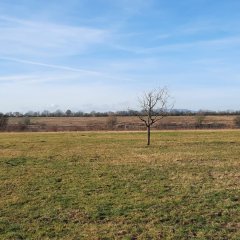 Impressionen vom Bergwerksee