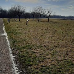 Impressionen vom Bergwerksee