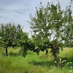 Impressionen vom Bergwerksee