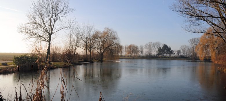 Blick auf den Schützenteich am Grillplatz in Reichelsheim