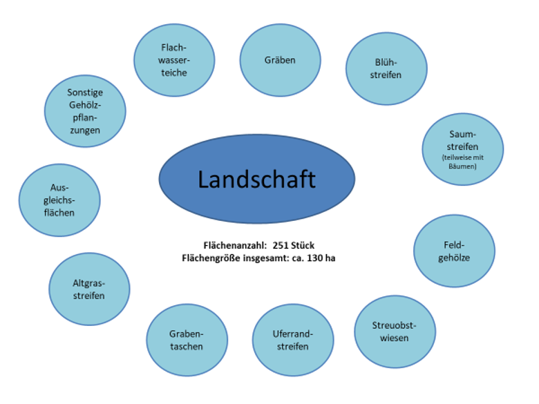 Grafik Landschaftspflegeplan einzelne Module