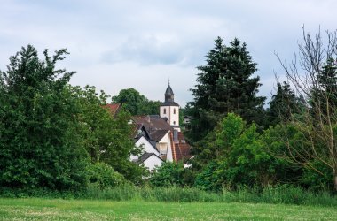 Blick durch die Bäume auf die evangelische Kirche in Blofeld
