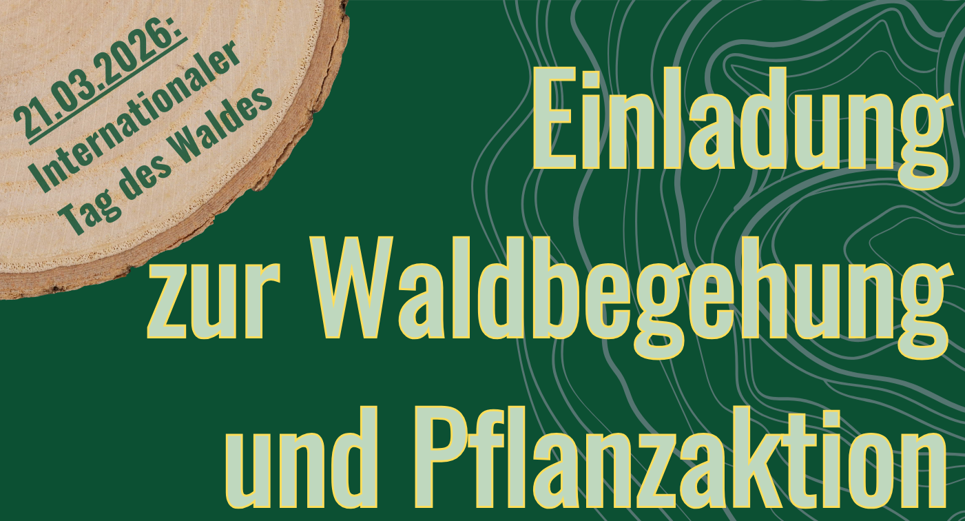 Titelbild Waldbegehung 2026