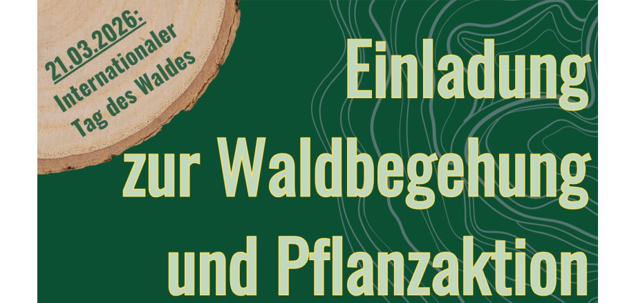 Titelbild Waldbegehung 2026