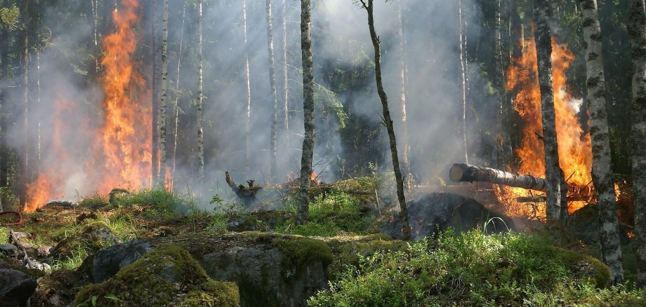 Waldbrand