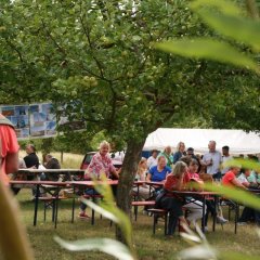 Besucher bei der Einweihungsfeier Weidenpavillon
