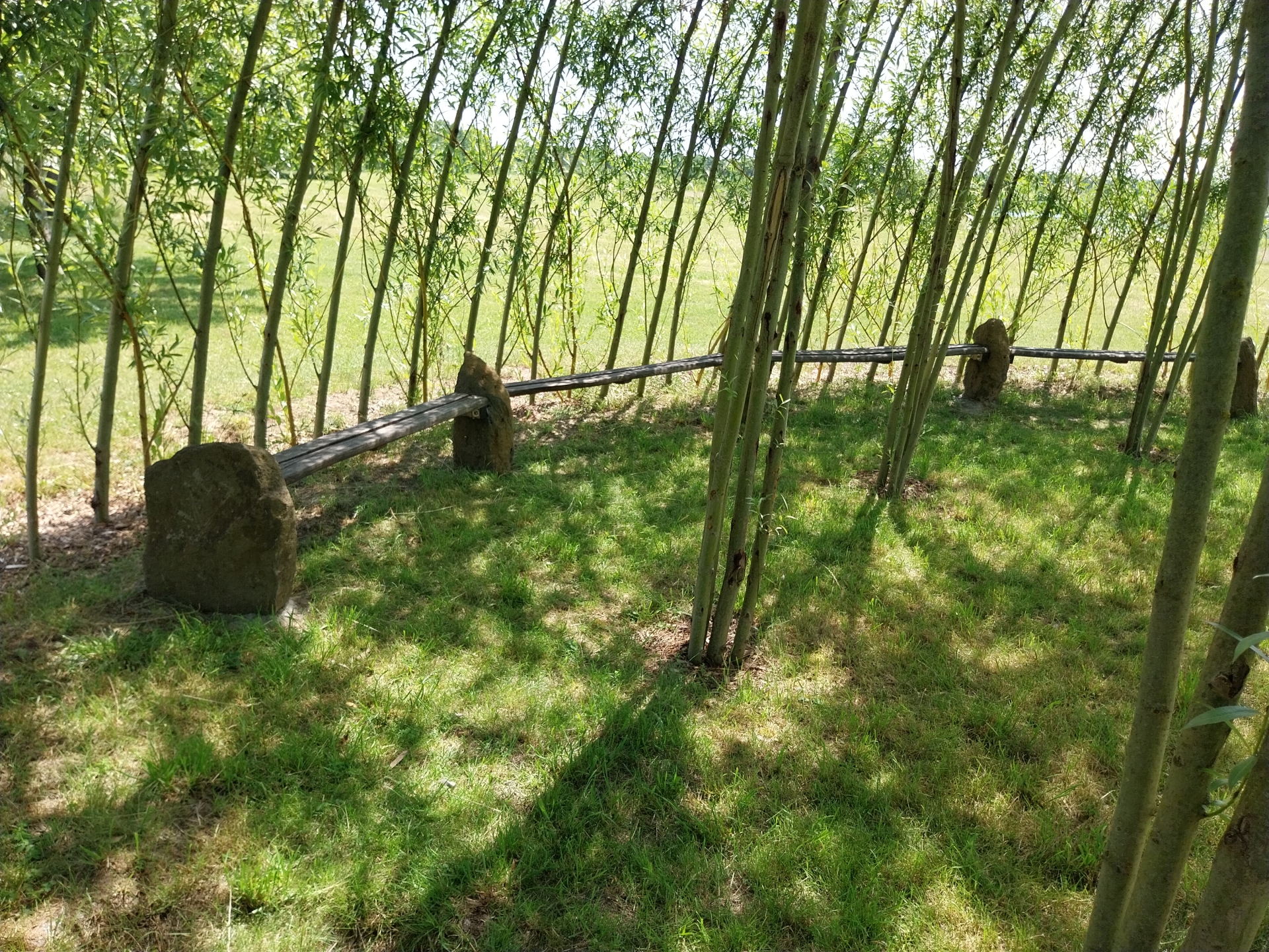 Bänke im Weidenpavillion am Bergwerksee