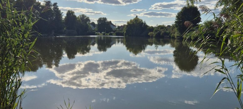 Leonhardteich Blick auf den Leonhardteich